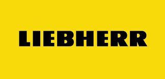 Liebherr 10028093 bearing for construction equipment